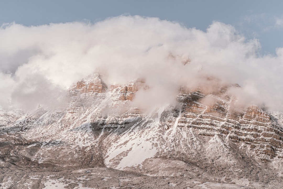 metamask avalanche rede - additionally understanding