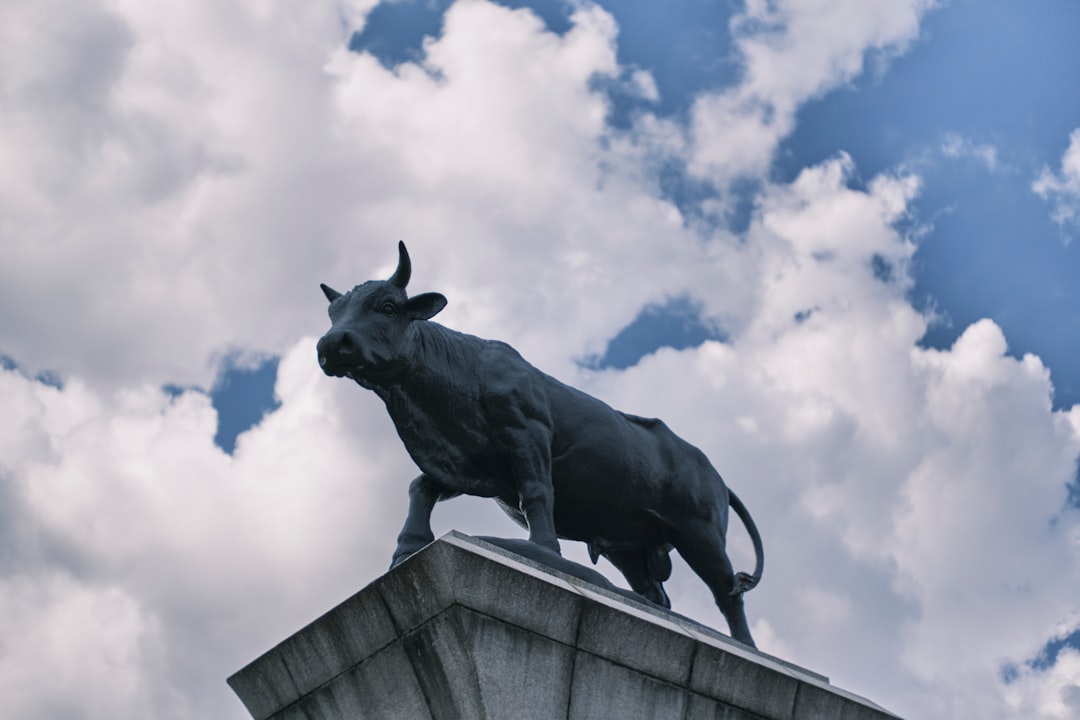 bull market indicadores - there several bull market indicadores - there several