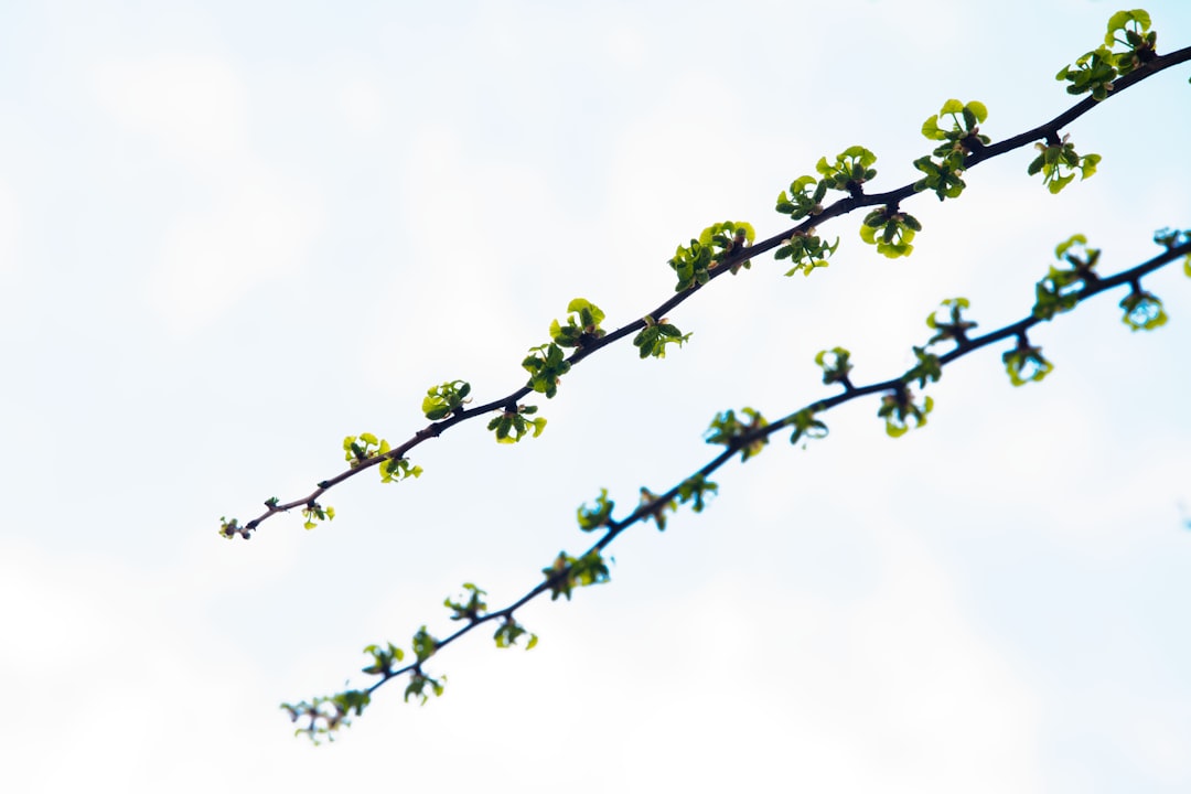 O que é o "yield farming multi-chain" - Yield Farming Multi‑Chain: Guia Completo para Entender, Avaliar e Maximizar seus Rendimentos em 2025