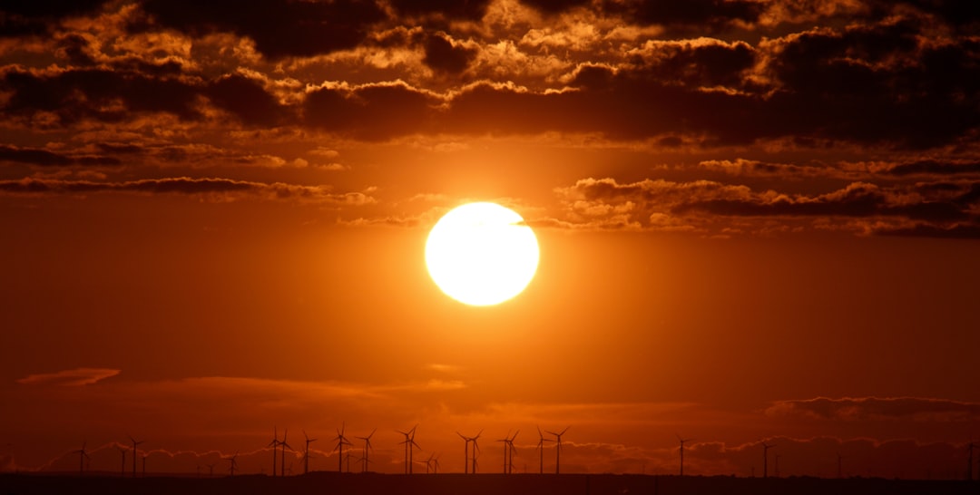 sunny - Sunny: Energia Solar, Sustentabilidade e Oportunidades no Mundo Cripto em 2025