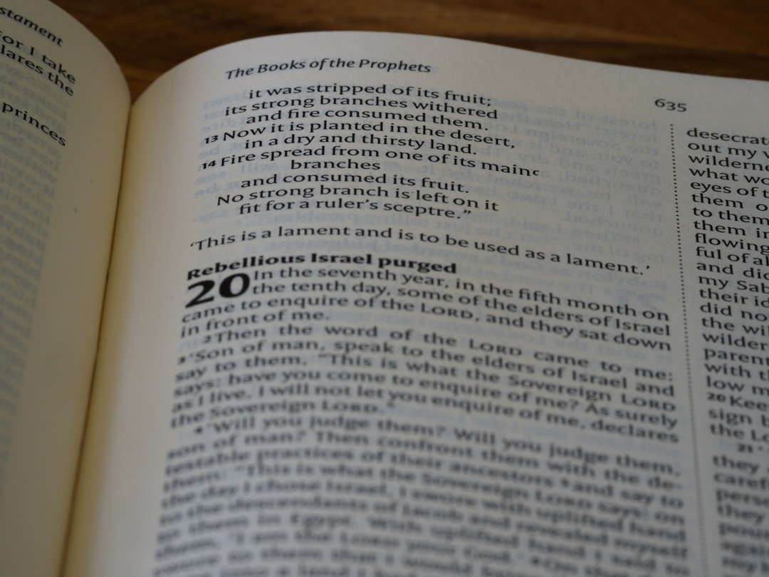 Criptomoedas promissoras - even promising Criptomoedas promissoras - even promising