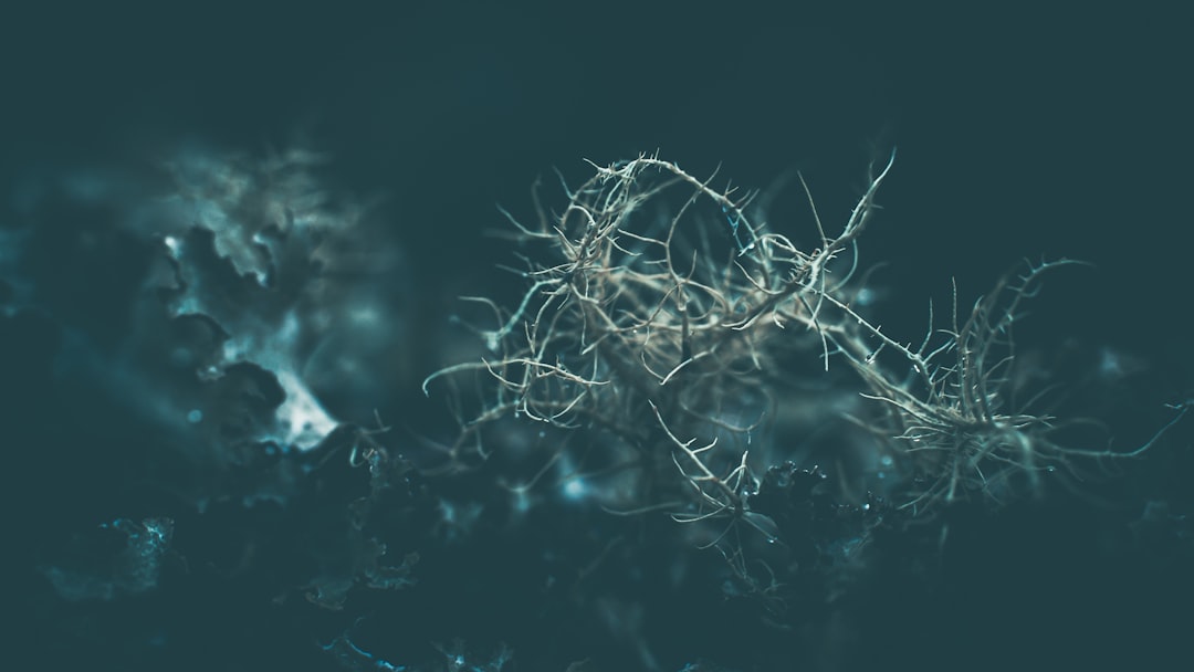 Como os protocolos recompensam todos os participantes do ecossistema - analyze blockchains Como os protocolos recompensam todos os participantes do ecossistema - analyze blockchains