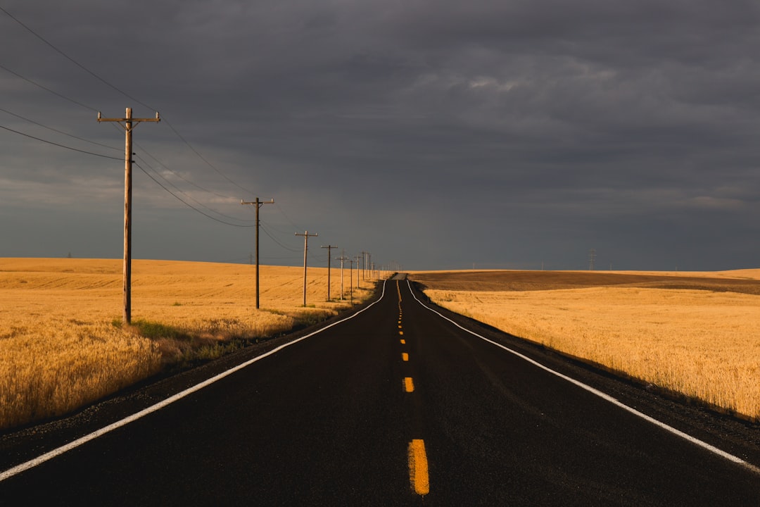 Roadmap de um projeto - roadmap static