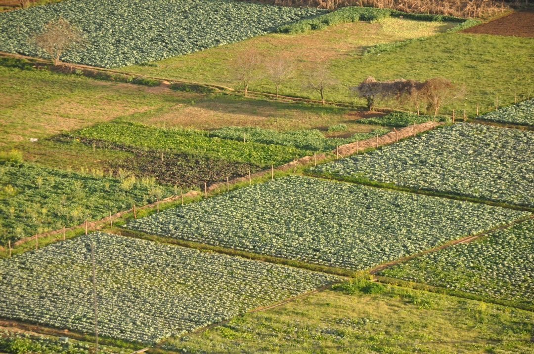 Yield farming guia para iniciantes - defi better Yield farming guia para iniciantes - defi better