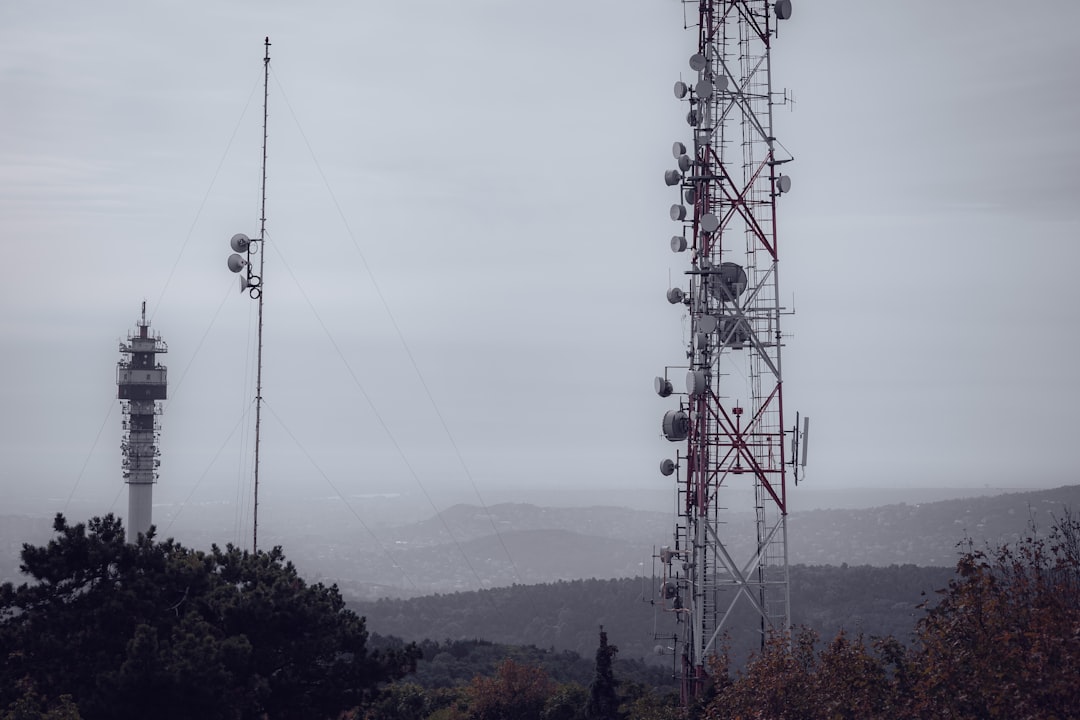 Moeda Digital - seeking stability Moeda Digital - seeking stability