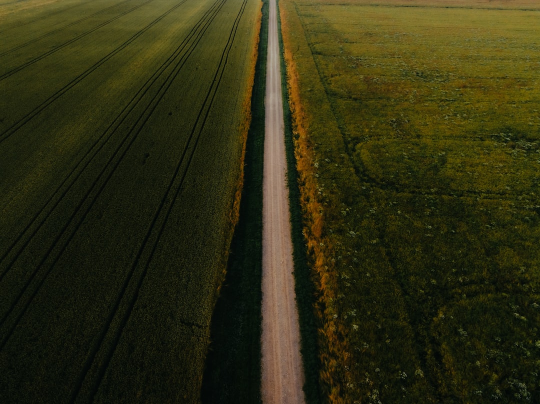 Projetos que se concentram em Real Yield - estratégia equilibrada Projetos que se concentram em Real Yield - estratégia equilibrada