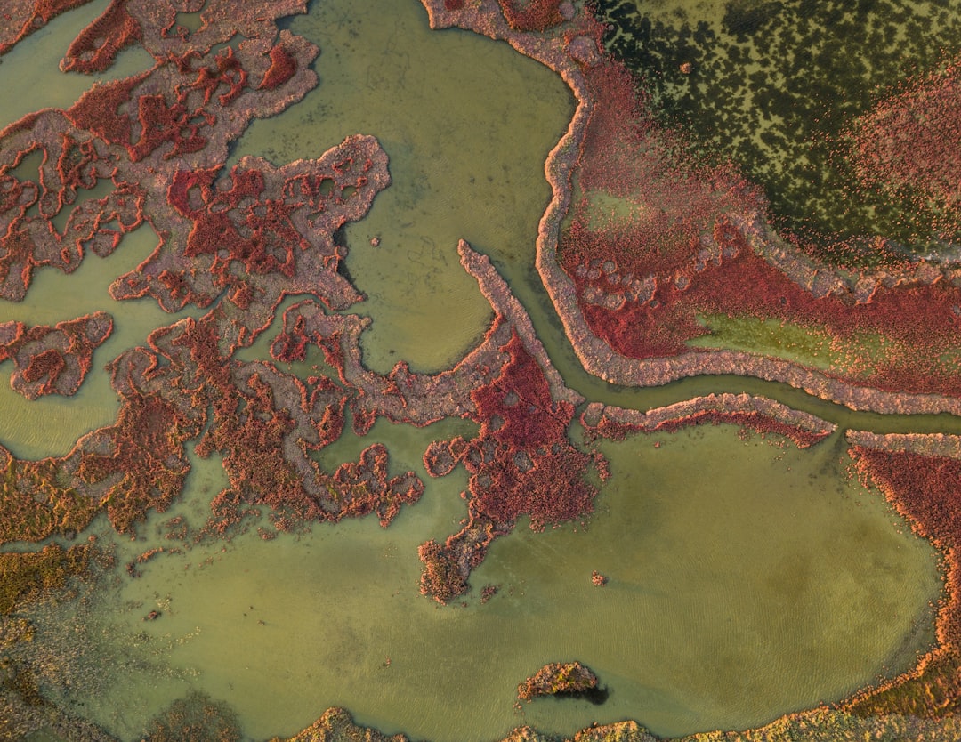 StarkNet guia - although promising StarkNet guia - although promising