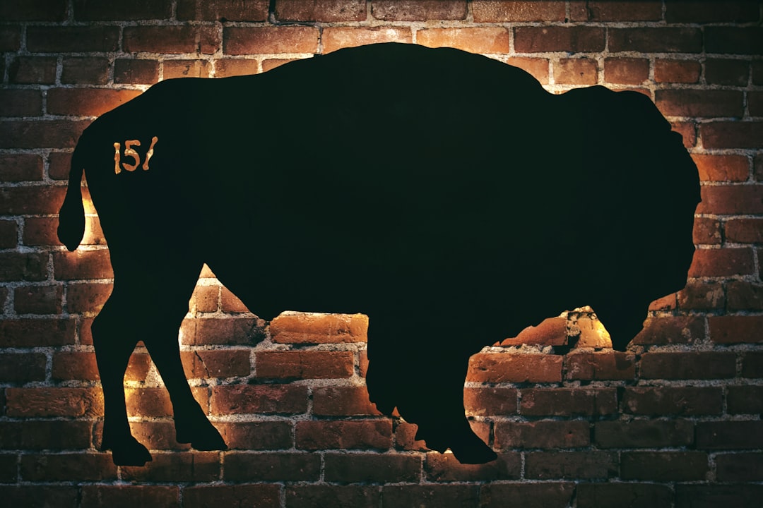 Bull market vs Bear market - although concept