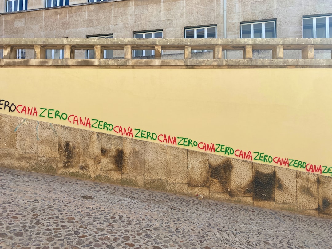 Melhor corretora de criptomoedas brasileira: zero taxas e acesso a inúmeras criptomoedas - binance although
