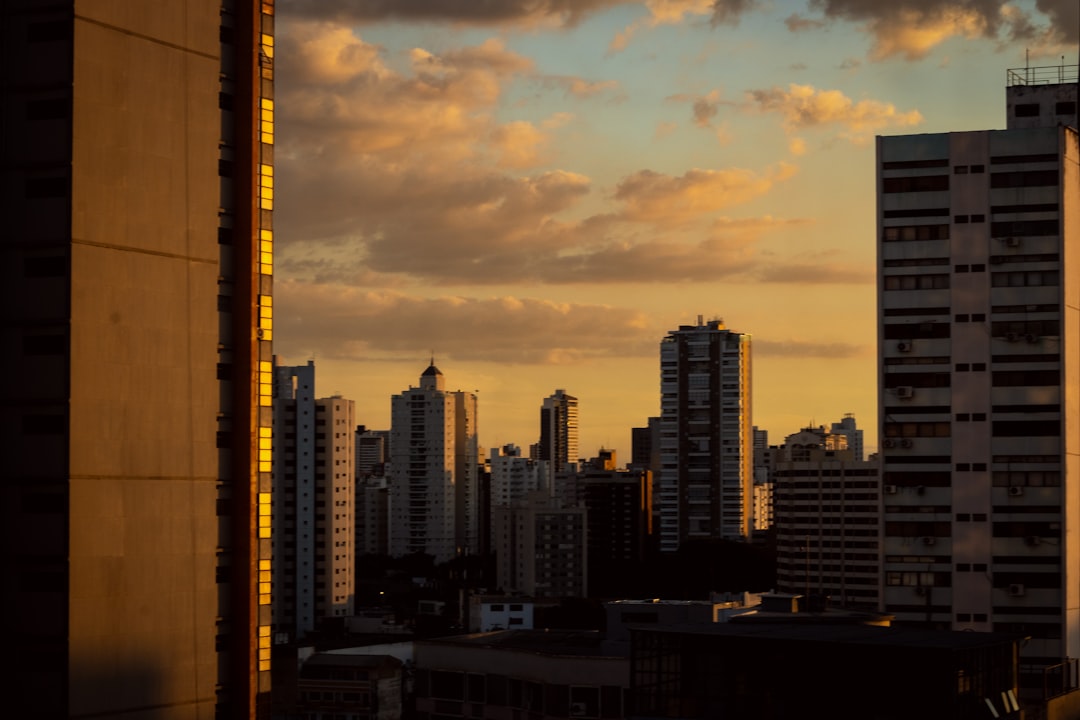mobox brasil - blockchain gaming