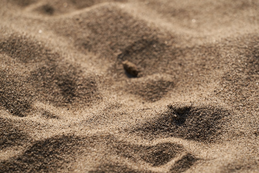 The Sandbox (SAND) - while potential