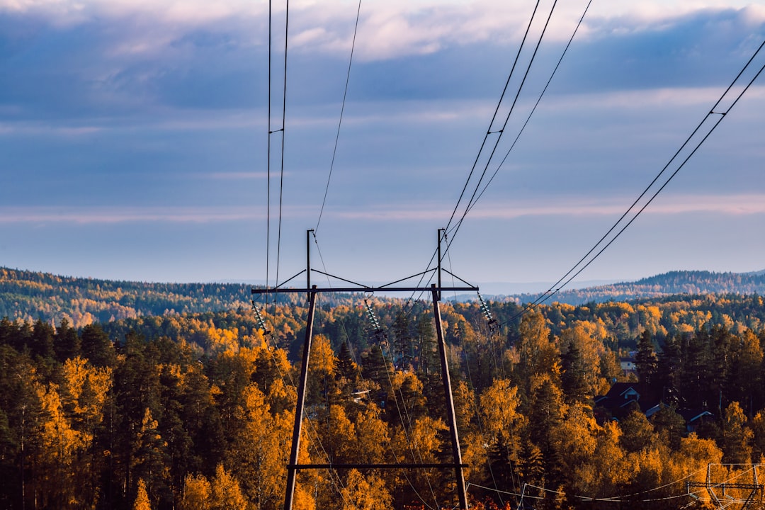 electricity futures - standardized features