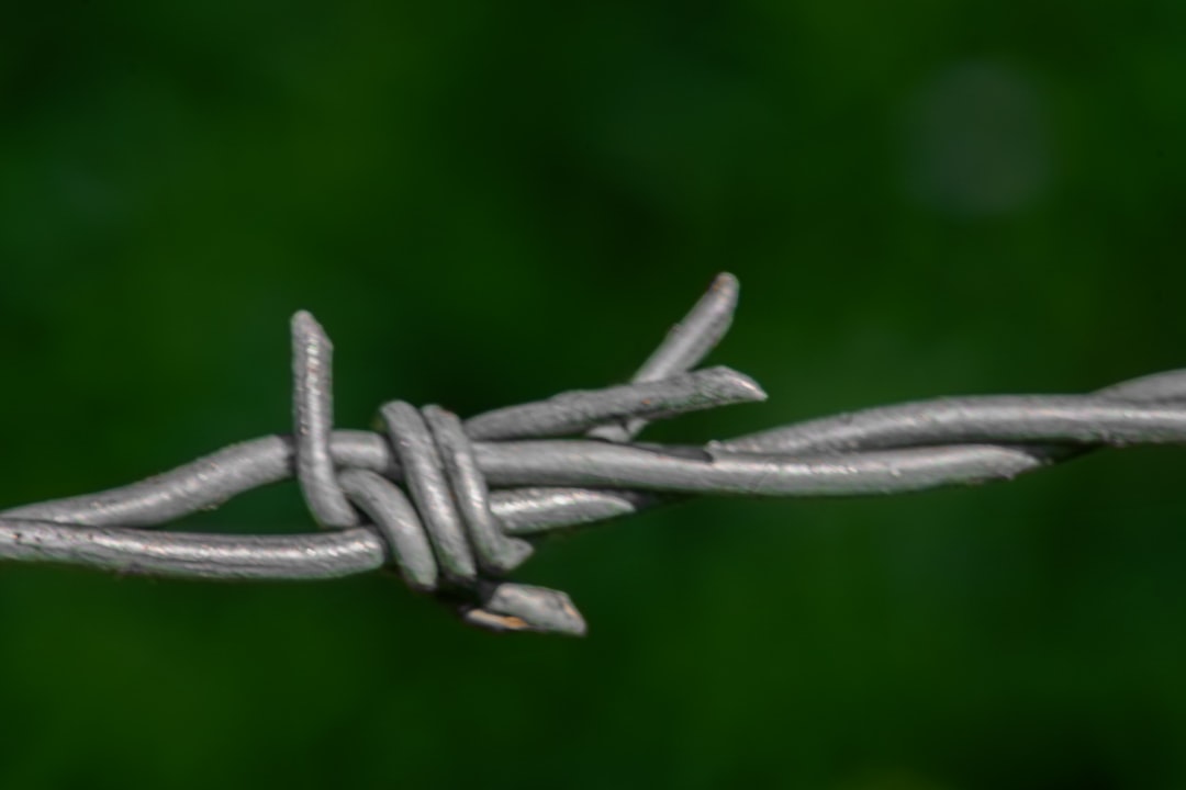 Debate sobre um futuro multi-chain vs cross-chain - Debate sobre um Futuro Multi‑Chain vs Cross‑Chain: O Que Esperar da Próxima Geração de Blockchains