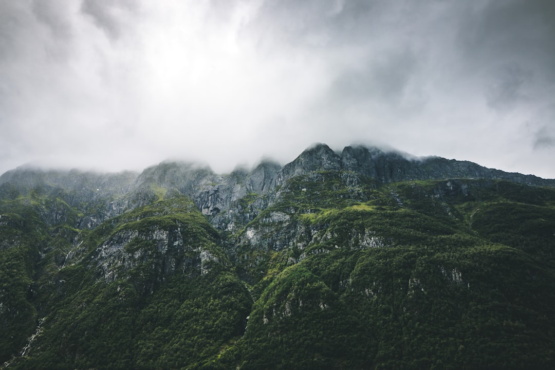 Como a natureza aberta da blockchain permite que qualquer pessoa construa em cima dela - Natureza aberta da blockchain: como qualquer pessoa pode construir em cima dela