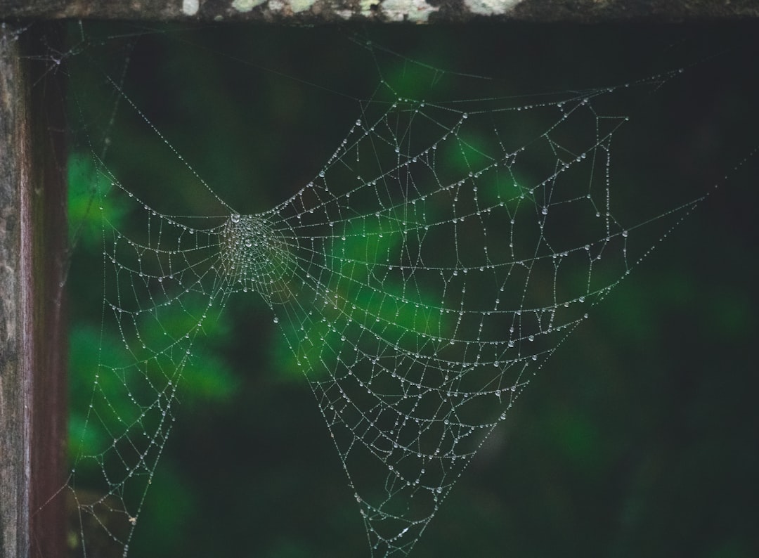 O que é DePIN (Decentralized Physical Infrastructure Networks) - examples show O que é DePIN (Decentralized Physical Infrastructure Networks) - examples show