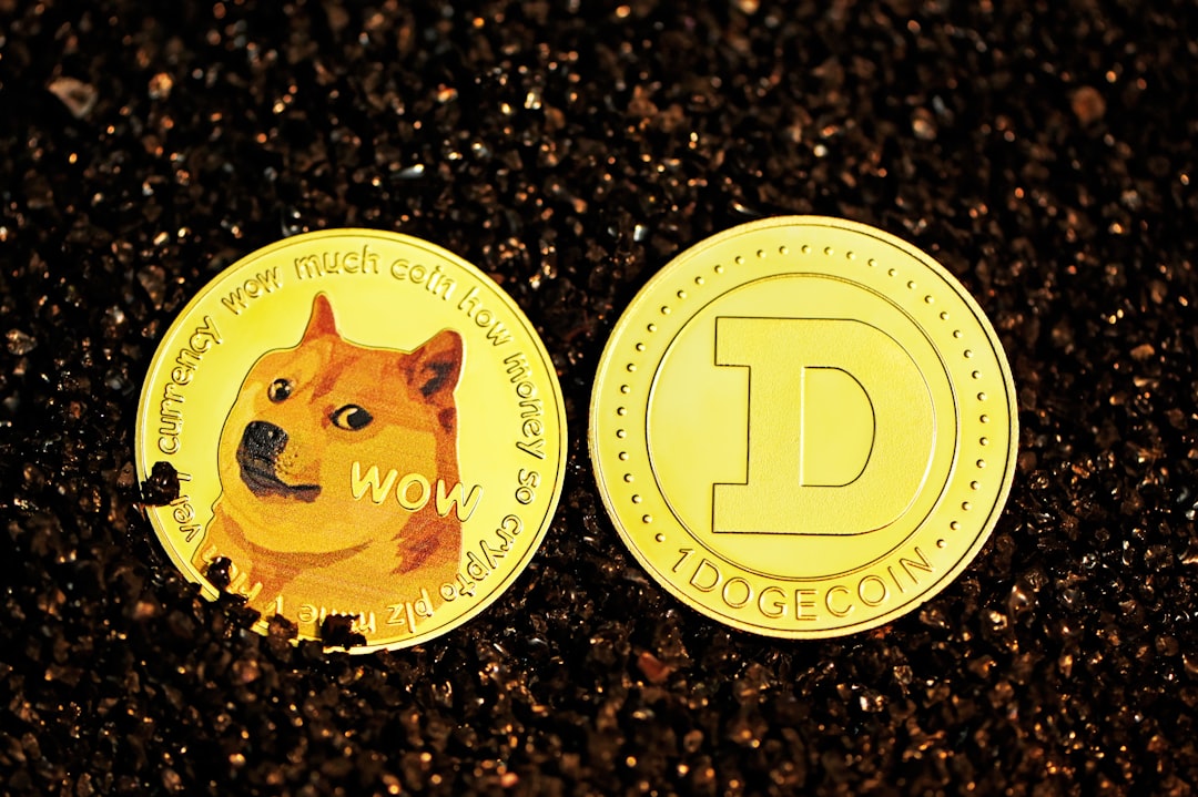 Dogecoin (DOGE) vai subir? - payment doge