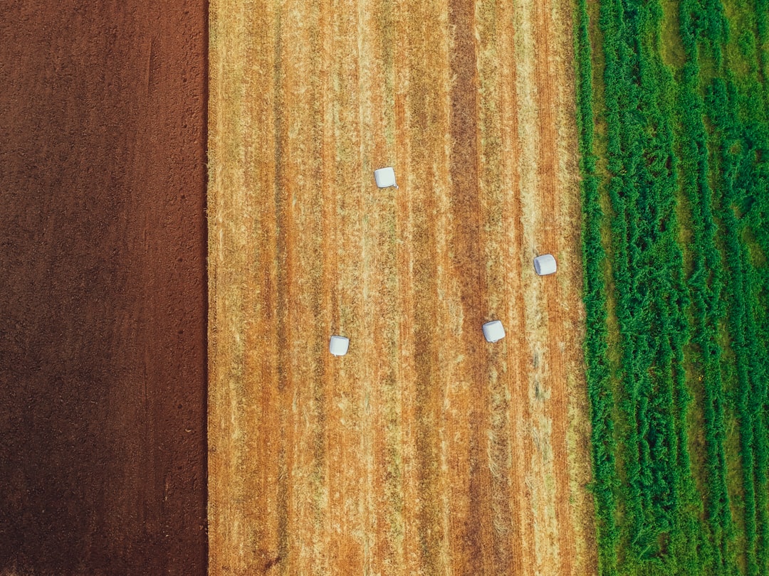 Como fazer yield farming - like platforms