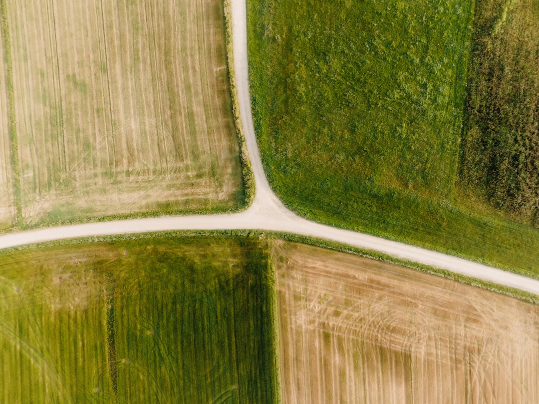 Yield aggregators - compare fees