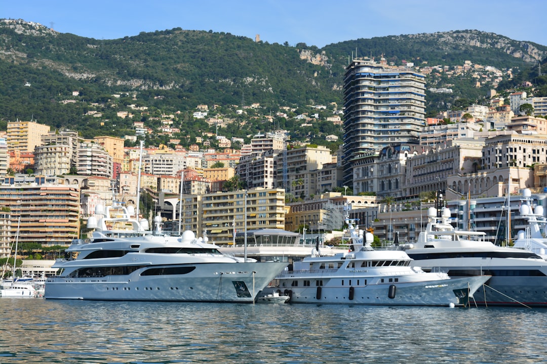 monte carlo - investor loss