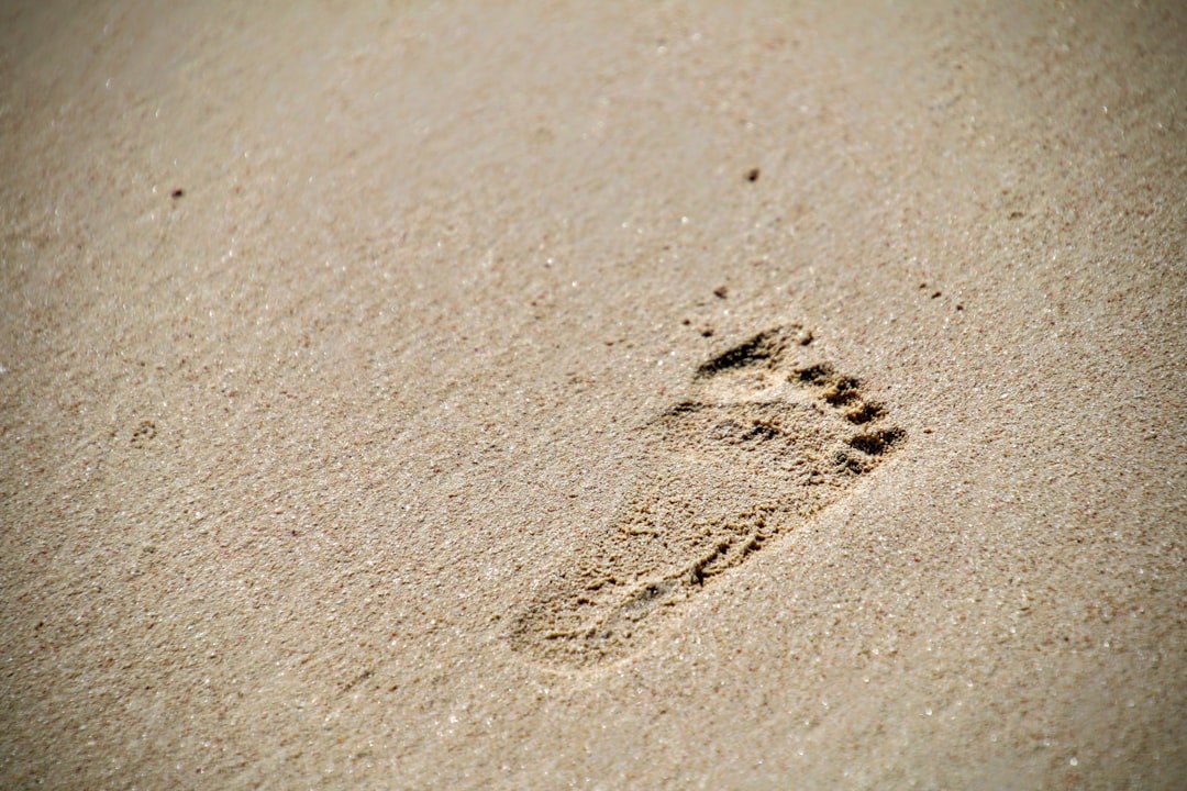 step - ultimately your step - ultimately your