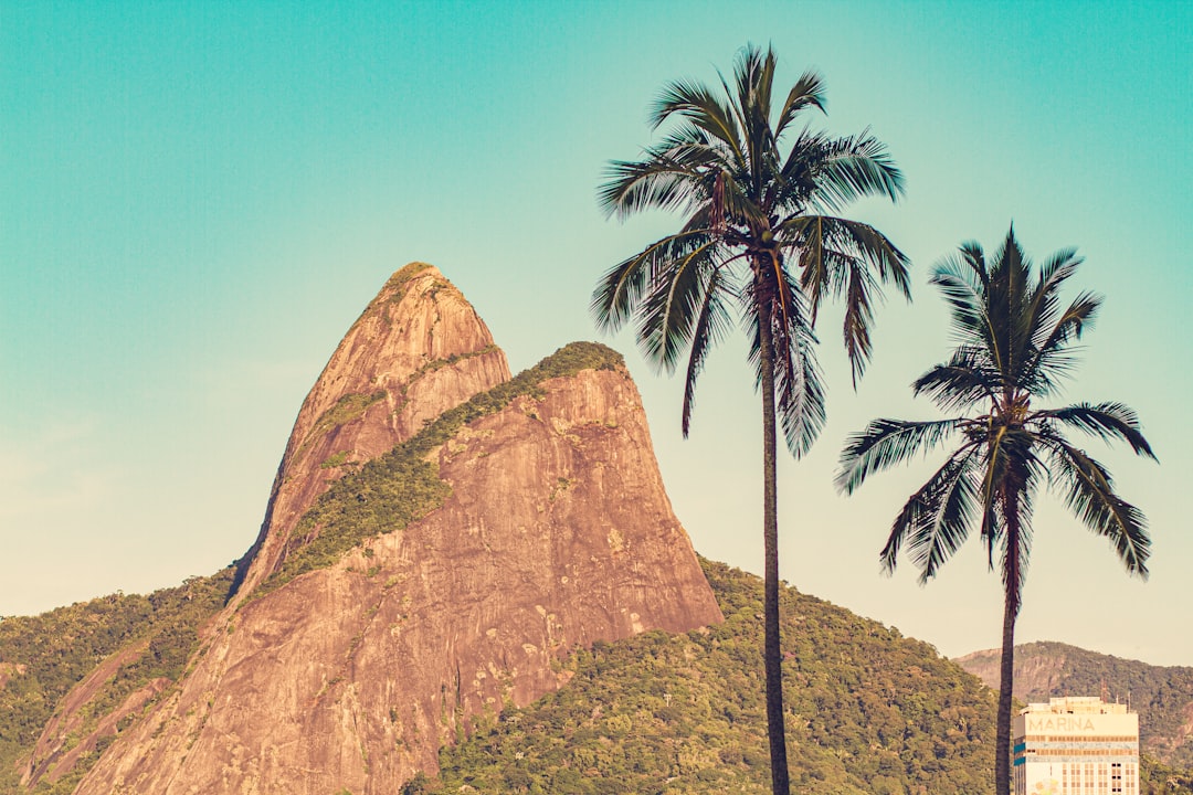 A melhor corretora de criptomoedas no Brasil: zero taxas e processos transparentes melhor corretora de criptomoedas no Brasil: como escolher a ideal para você - trading although A melhor corretora de criptomoedas no Brasil: zero taxas e processos transparentes melhor corretora de criptomoedas no Brasil: como escolher a ideal para você - trading although