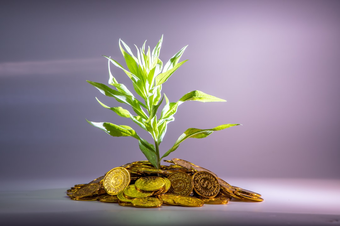 passive investing - Investimento Passivo: Guia Completo para Construir Riqueza de Forma Sustentável