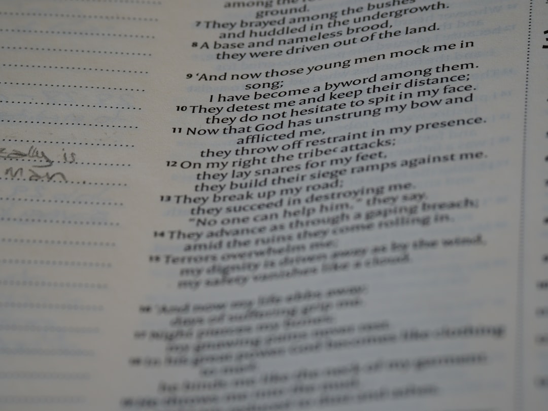 Binance para Iniciantes: Tudo o Que Você Precisa Saber - binance just