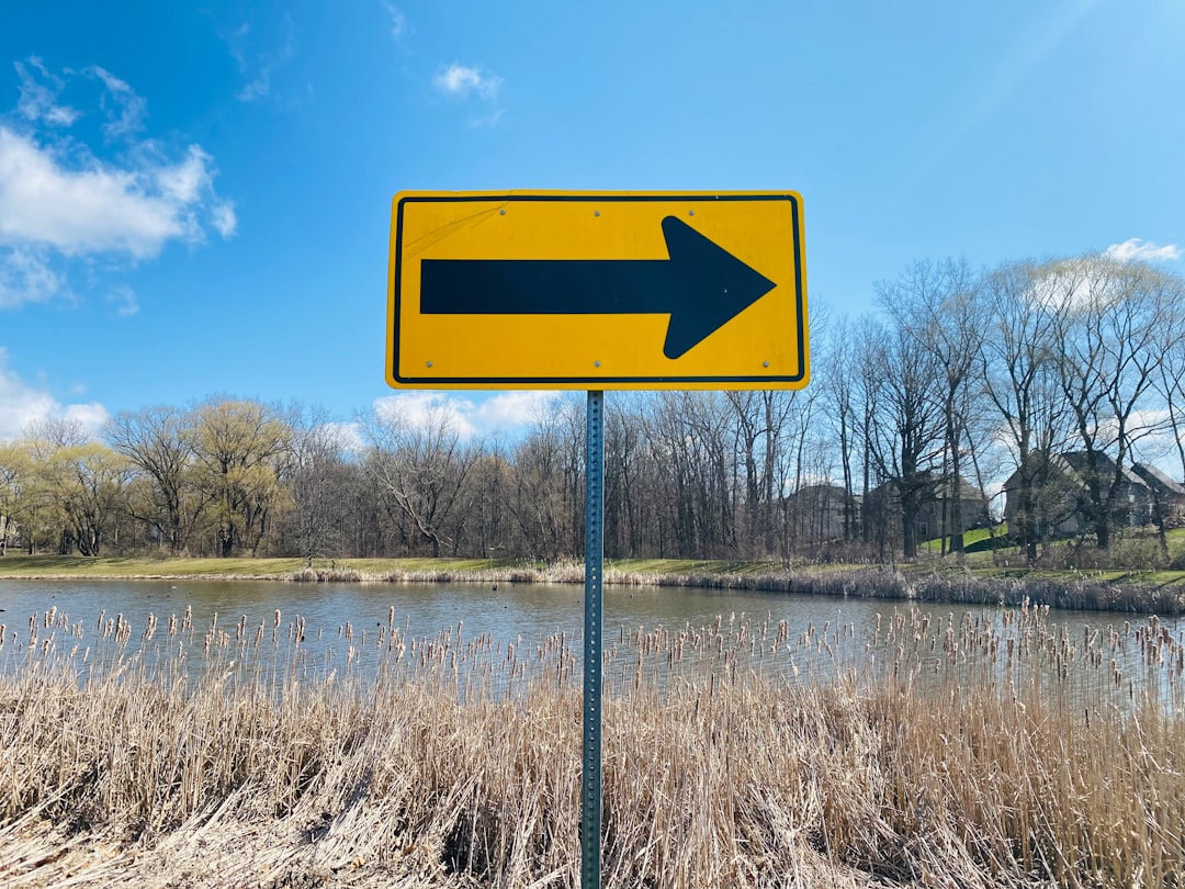 options flow - Entendendo o Options Flow: Como Analisar o Fluxo de Opções para Maximizar seus Investimentos