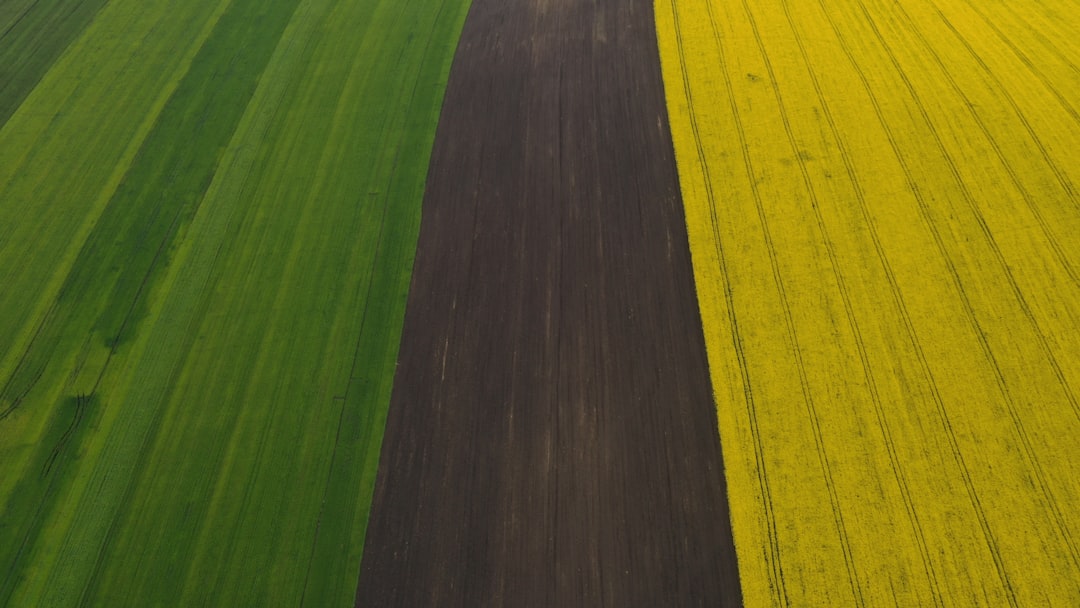 Agregadores de yield multi-chain (Yearn, Zapper) - strategies require