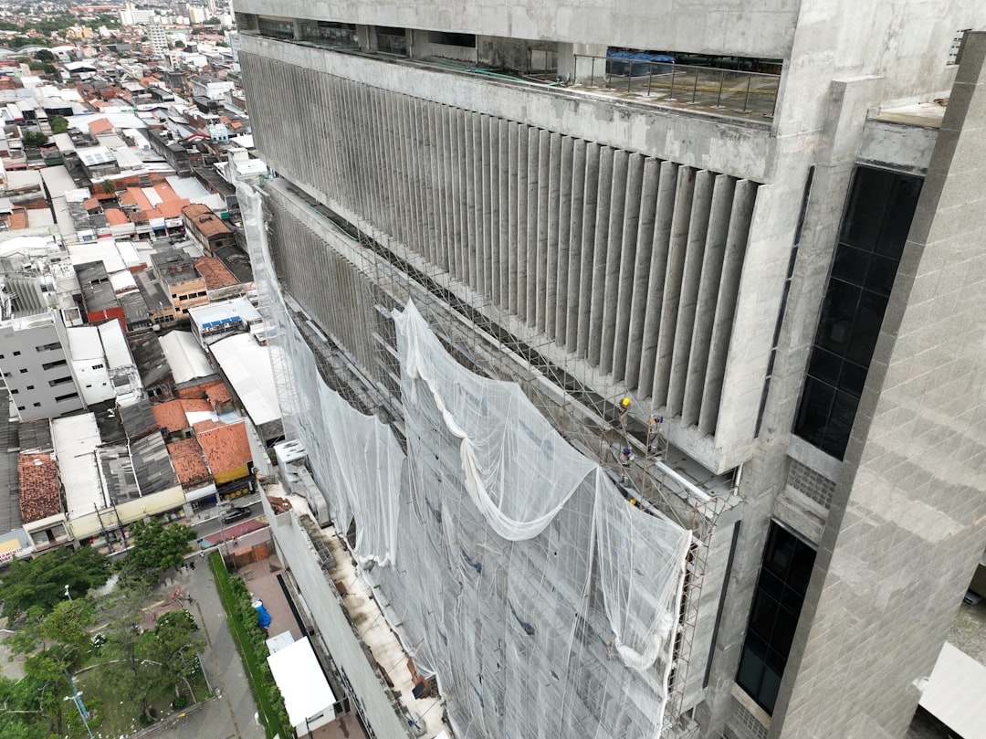 ark invest - 2025 brazil