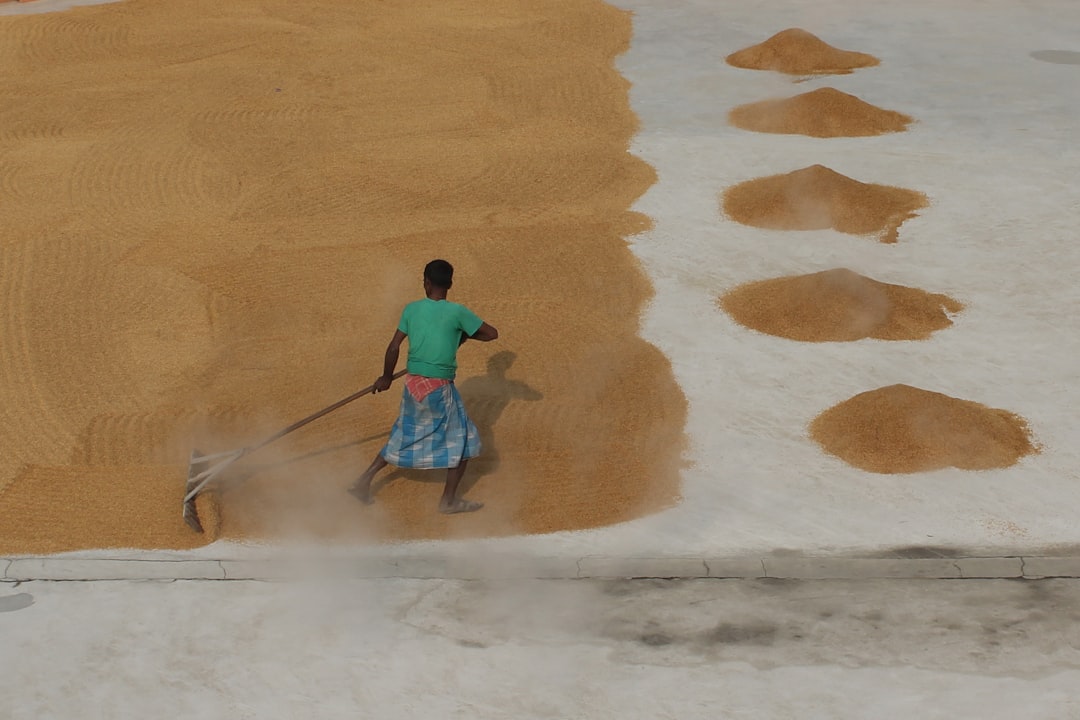 sandbox brasil - despite opportunities