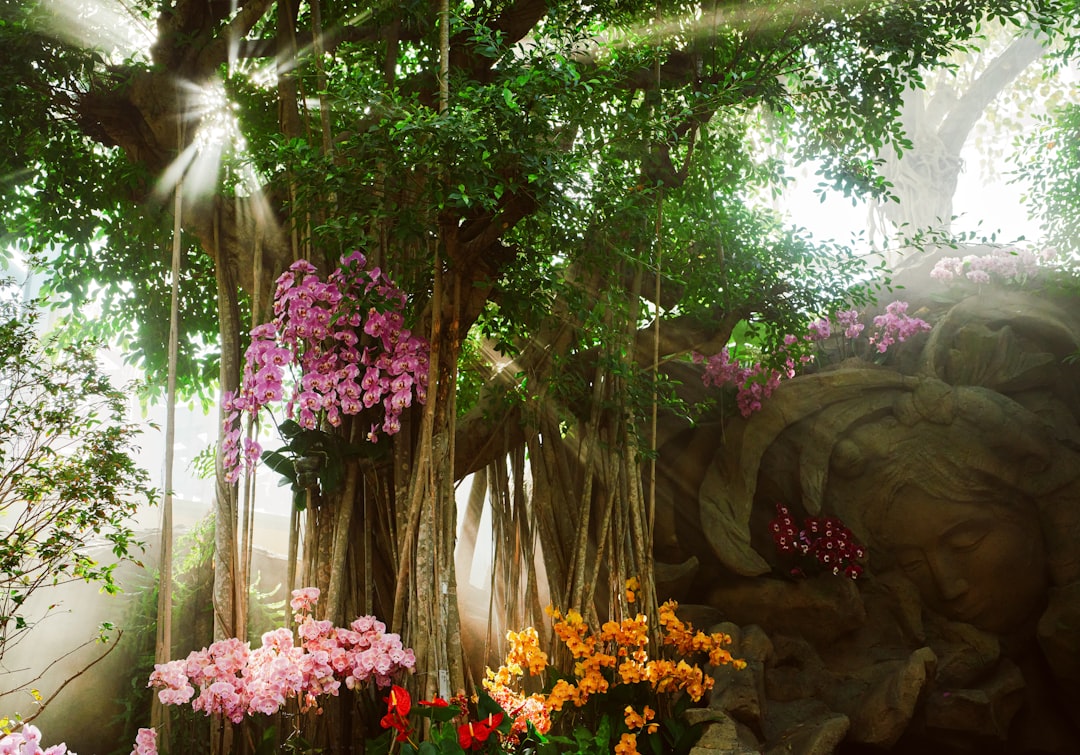 Magic Eden para Solana NFTs - list sale Magic Eden para Solana NFTs - list sale