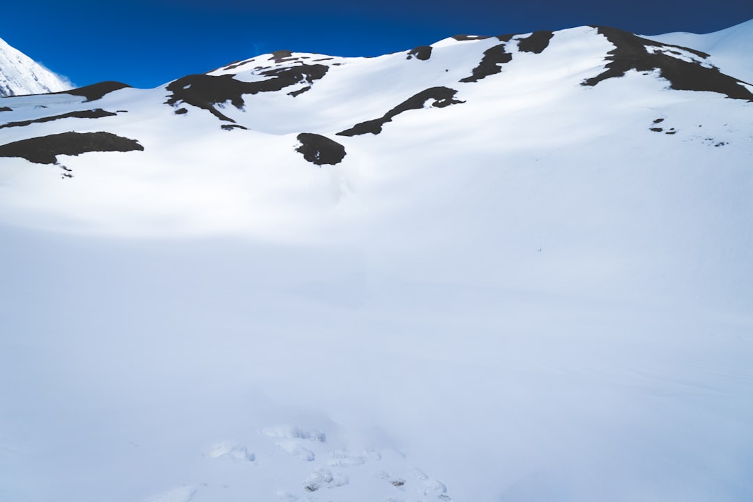avax - AVAX (Avalanche) 2025: Guia Completo, Estratégias e Oportunidades no Ecossistema DeFi