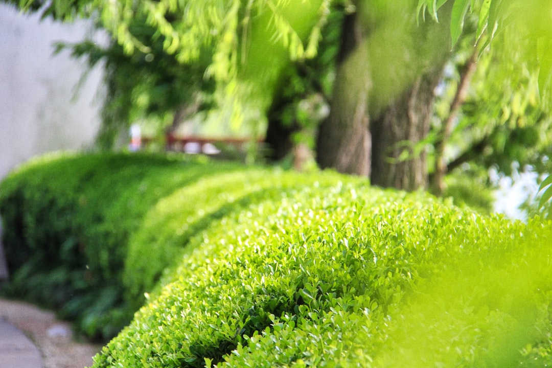 futures hedge estratégia - although hedging futures hedge estratégia - although hedging