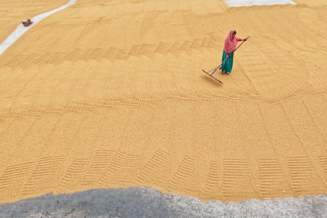 The Sandbox guia - game sandbox The Sandbox guia - game sandbox