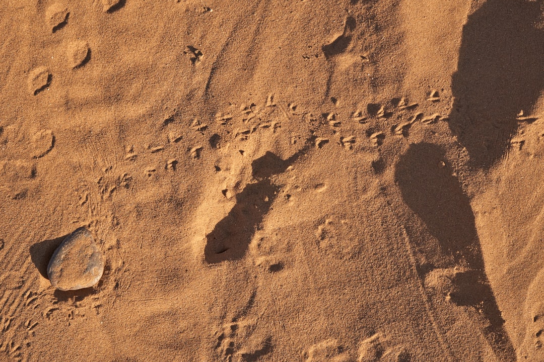 mars4 - understand mars4