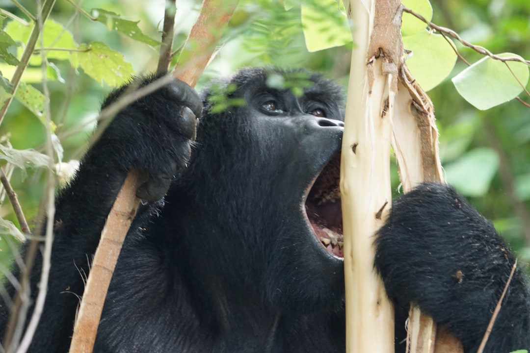 staking apr vs apy - quot restaking