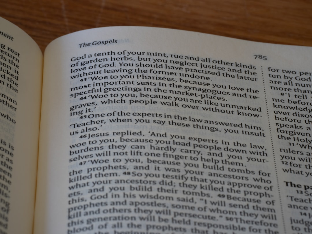 Lance - recommended Lance - recommended