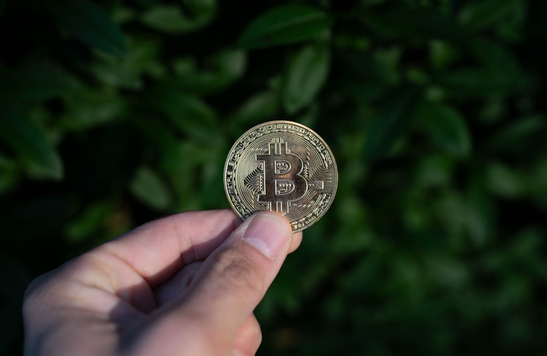 bitcoin explicação simples - wallet beginners bitcoin explicação simples - wallet beginners