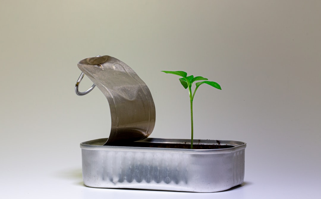 ledger backup seed - device doubt