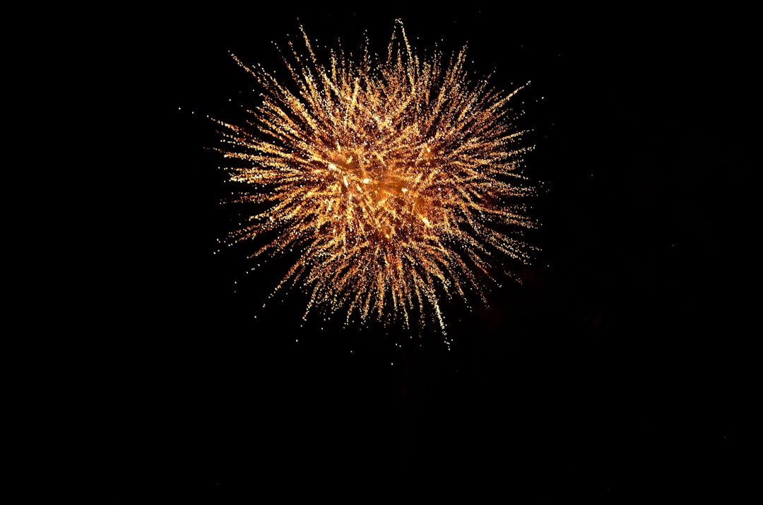 mev maximal extractable - wish participate mev maximal extractable - wish participate