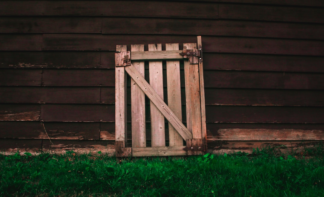 NFTs como prova de propriedade - practical examples