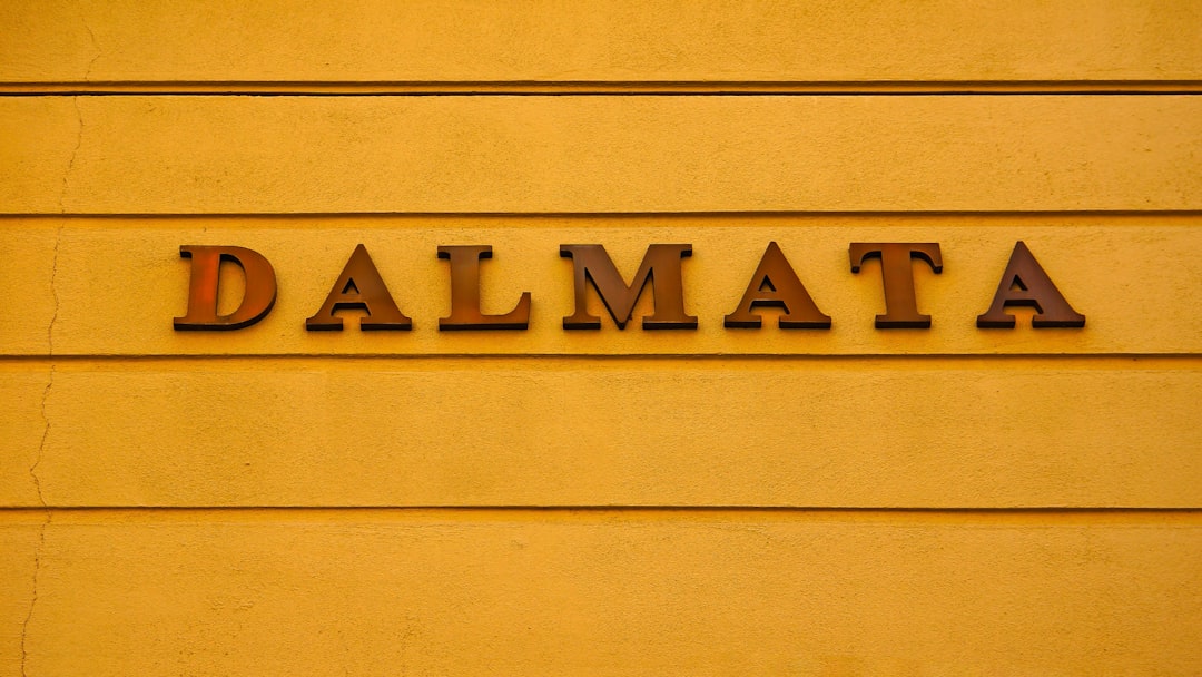 grants programs - Guia Definitivo de Grants Programs no Ecossistema Cripto: Como Encontrar, Aplicar e Maximizar Financiamentos em 2025