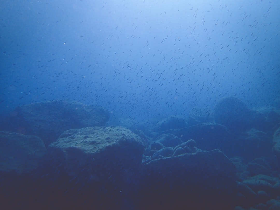 opensea como usar - although opensea