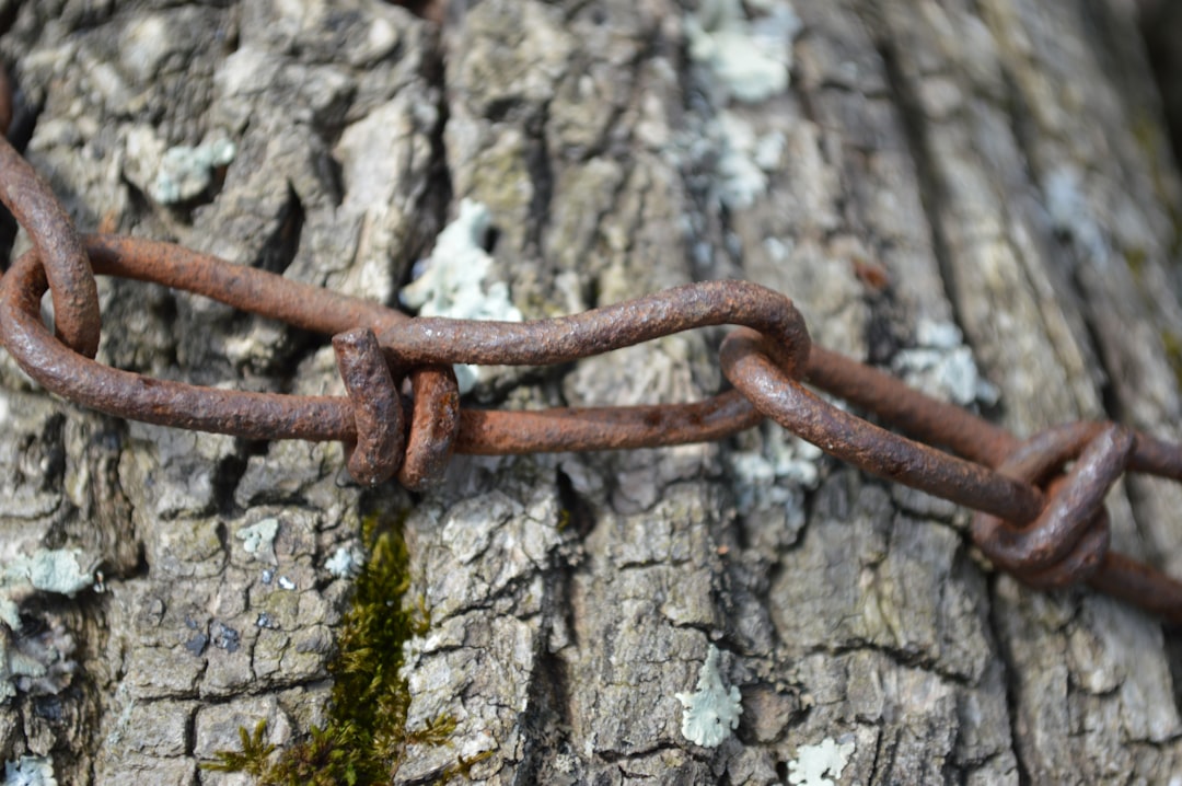 fortified - Fortified: Como Fortalecer suas Estratégias e Ativos no Ecossistema Cripto em 2025
