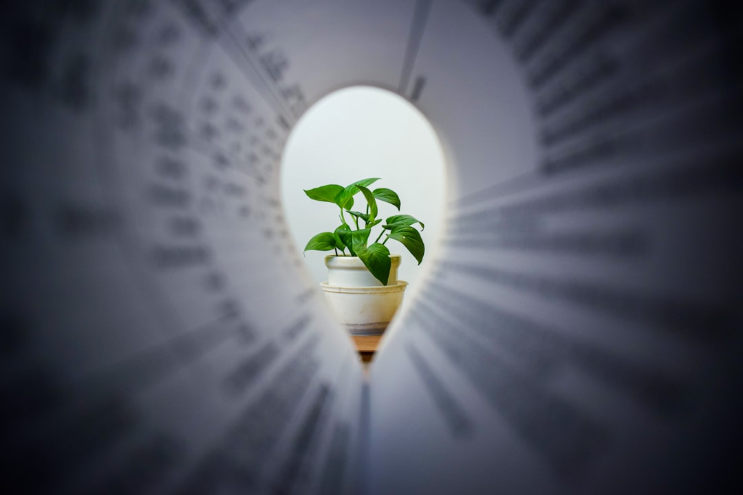 paradigm ventures - venture capital paradigm ventures - venture capital