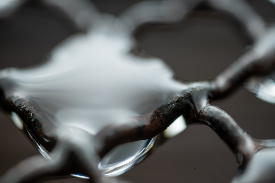 KlimaDAO, Toucan e a liquidez para os mercados de carbono - KlimaDAO, Toucan e a liquidez para os mercados de carbono: como a tokenização está transformando o futuro sustentável