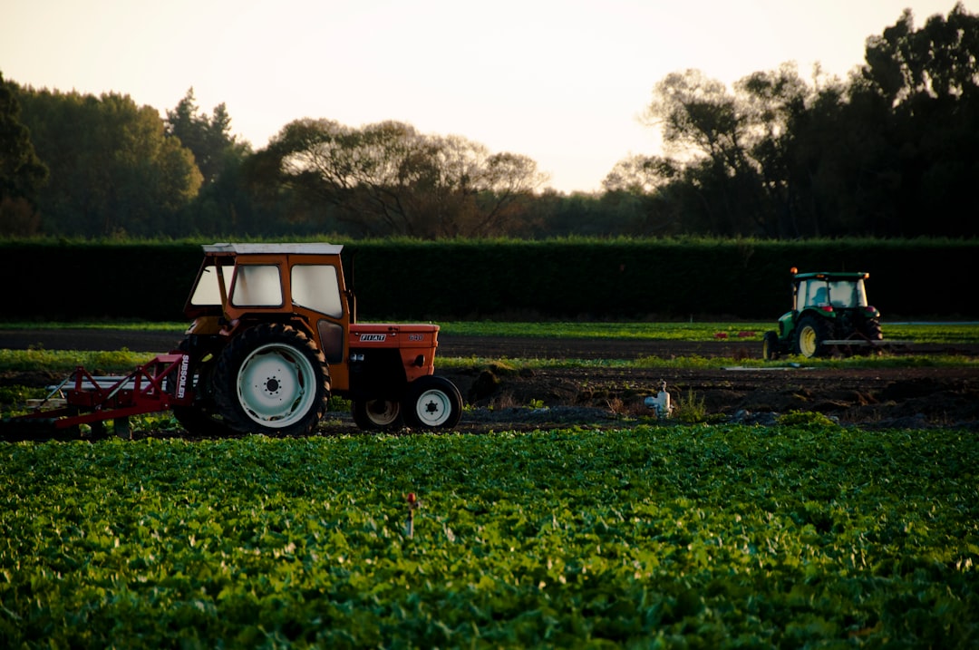 Yearn Finance e a automatização do yield farming - additionally understanding