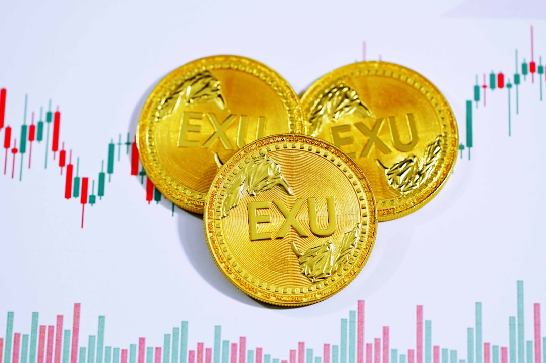Como lucrar em um bear market - tokens robust