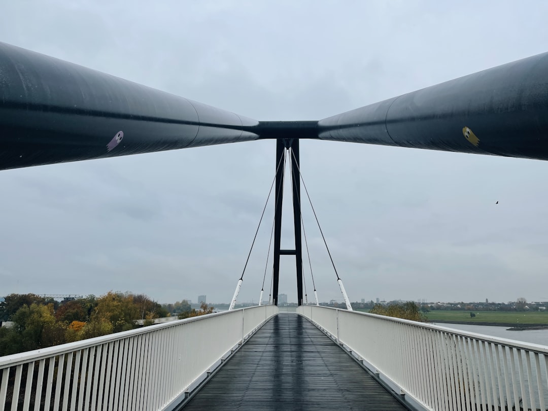 unusual options - bridge purchasing unusual options - bridge purchasing